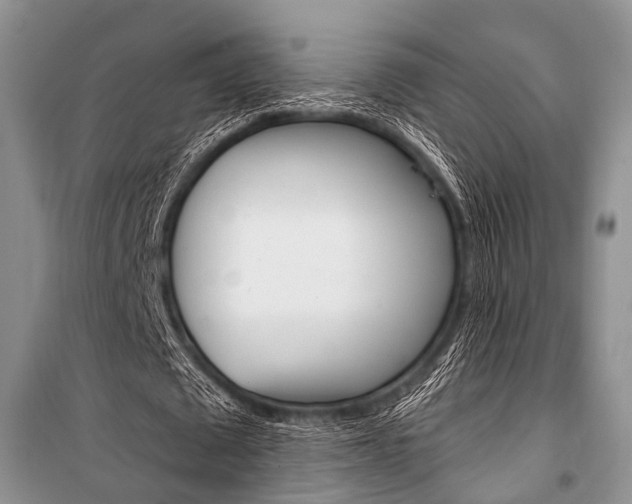 X0000101110673200806261110