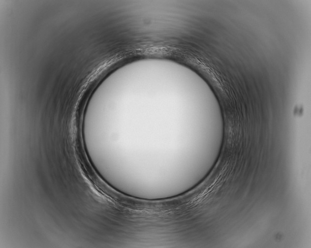 X0000101110674200806261110