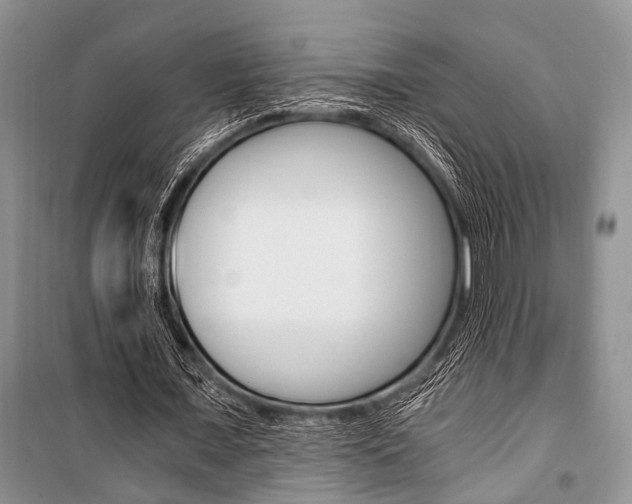 X0000101110675200806261110