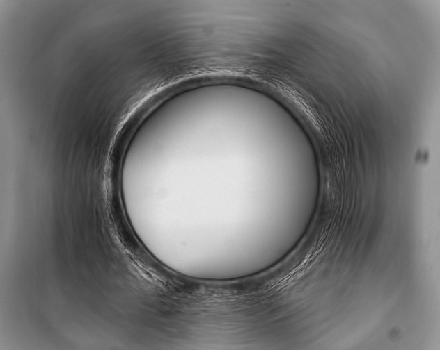X0000101110676200806261109