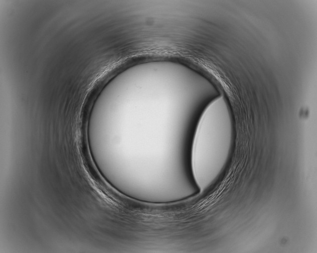 X0000101110677200806261109