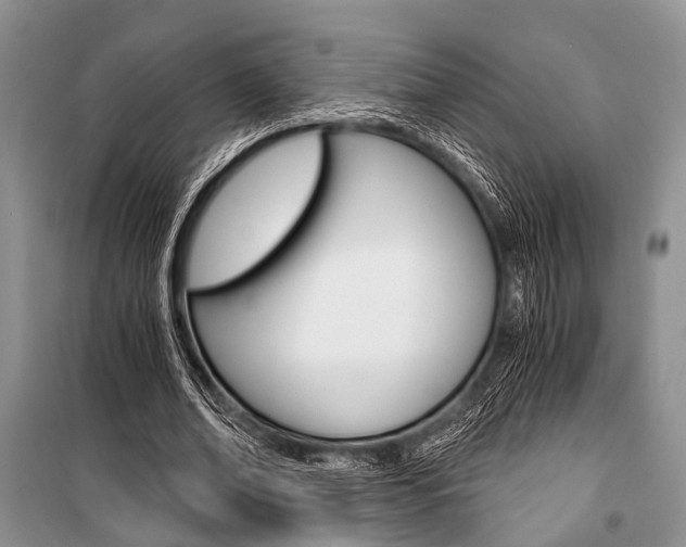 X0000101110678200806261109