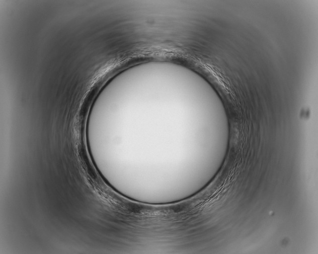 X0000101110679200806261109