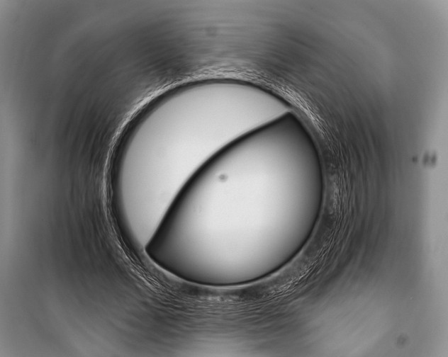 X0000101110680200806261109