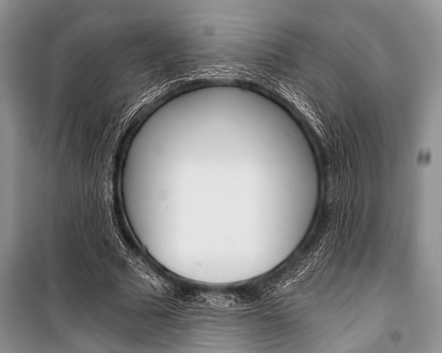 X0000101110681200806261109