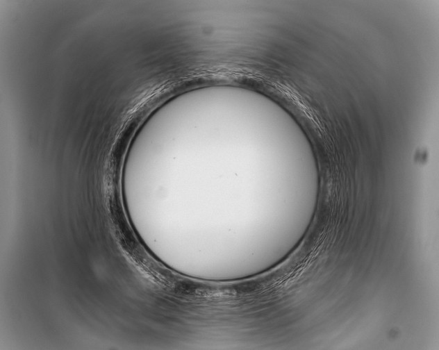 X0000101110683200806261109
