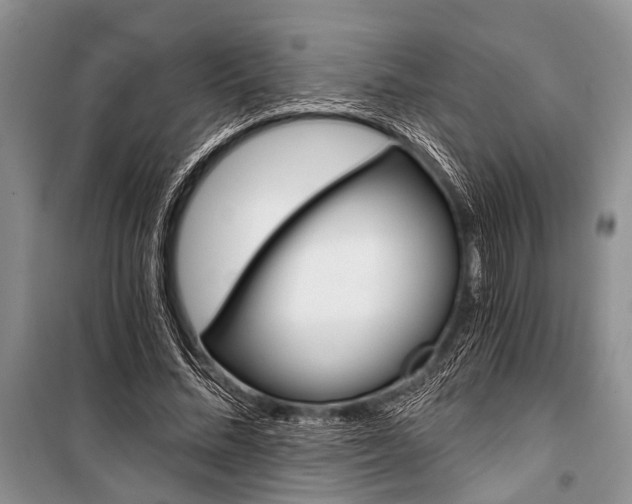 X0000101110684200806261109