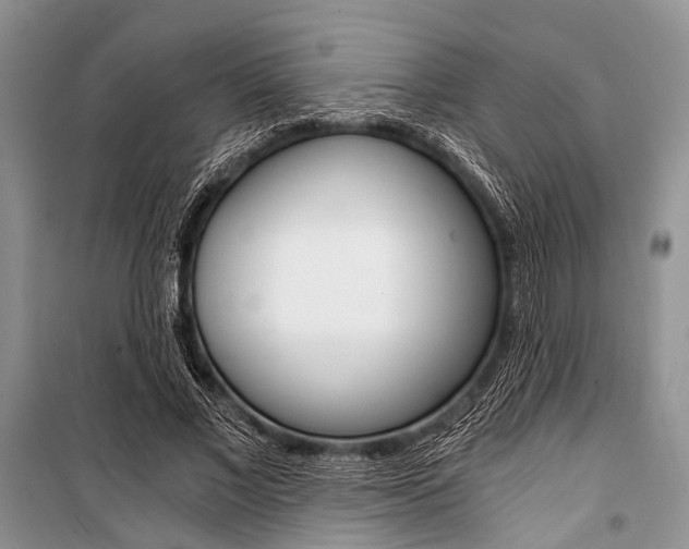 X0000101110685200806261109