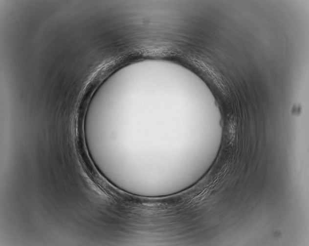 X0000101110686200806261109