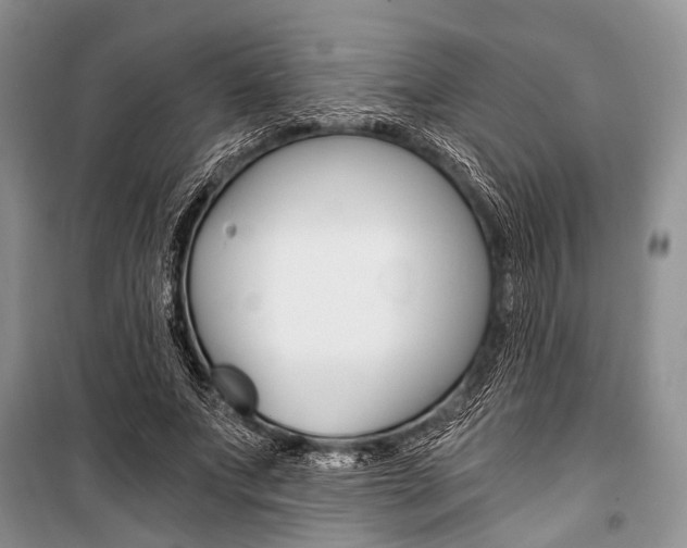 X0000101110687200806261109