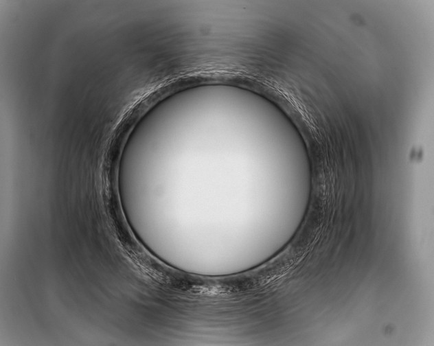 X0000101110688200806261109