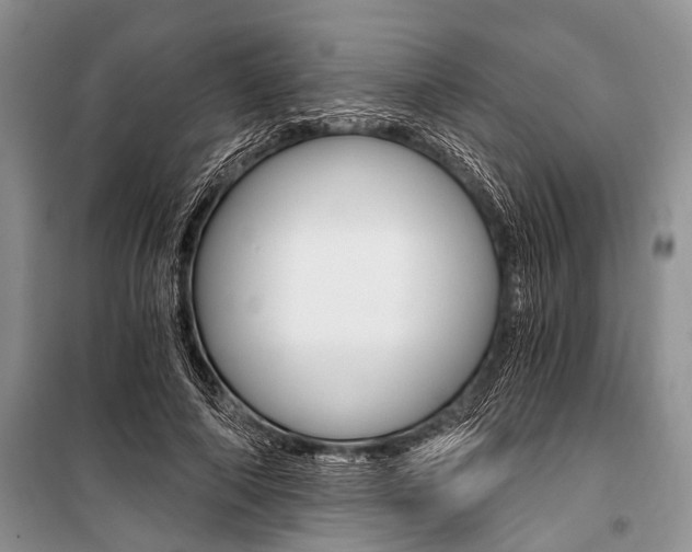 X0000101110690200806261109