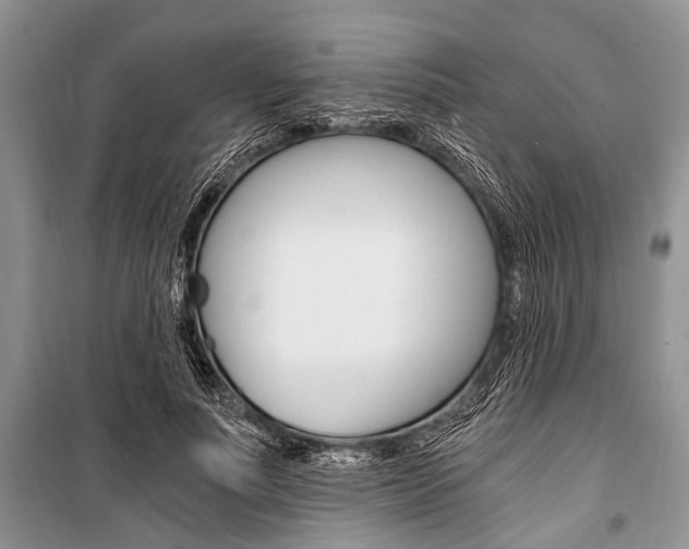 X0000101110691200806261109