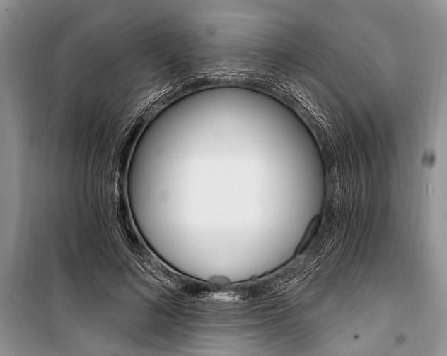 X0000101110692200806261109