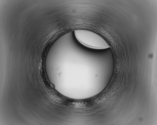 X0000101110693200806261109