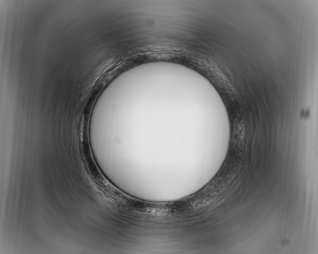 X0000101110694200806261109