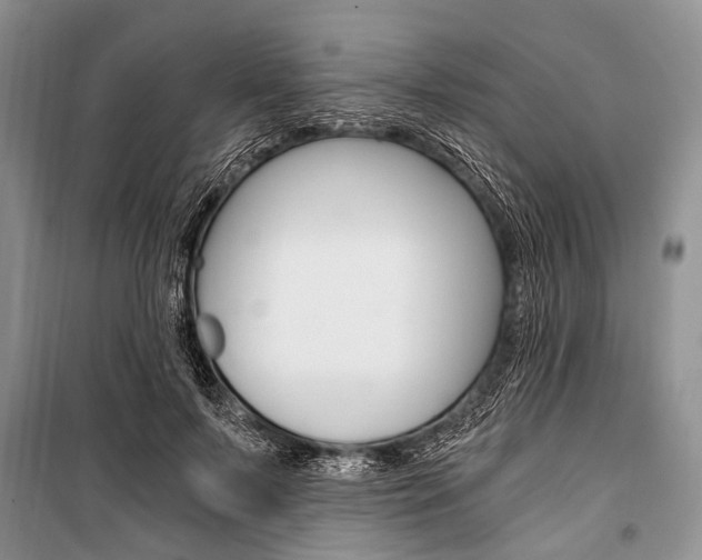 X0000101110695200806261109