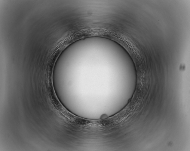 X0000101110696200806261109
