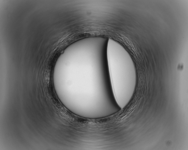 X0000101110697200806261109