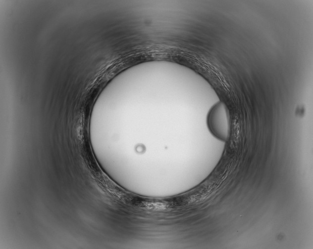 X0000101110698200806261109