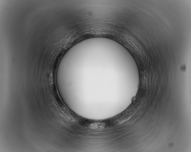 X0000101110700200806261109