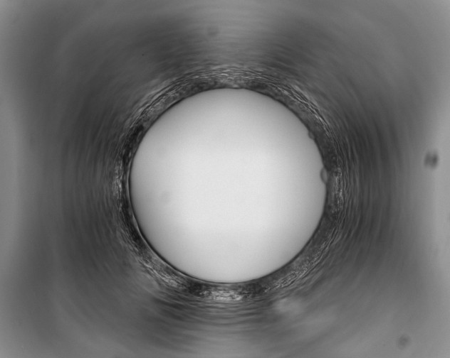X0000101110702200806261109