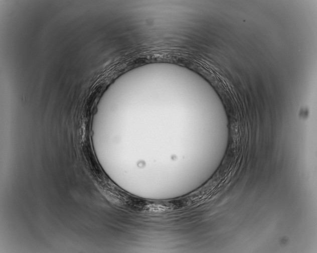 X0000101110703200806261109