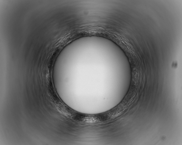 X0000101110704200806261109