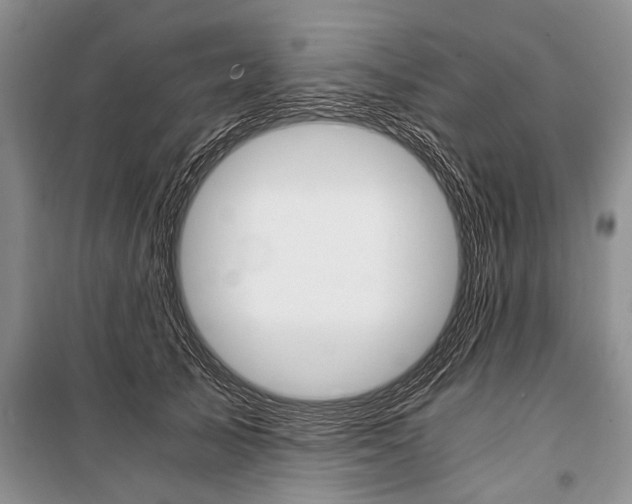 X0000101110705200806261109