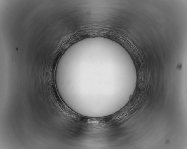X0000101110706200806261109