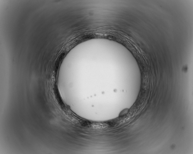 X0000101110707200806261109