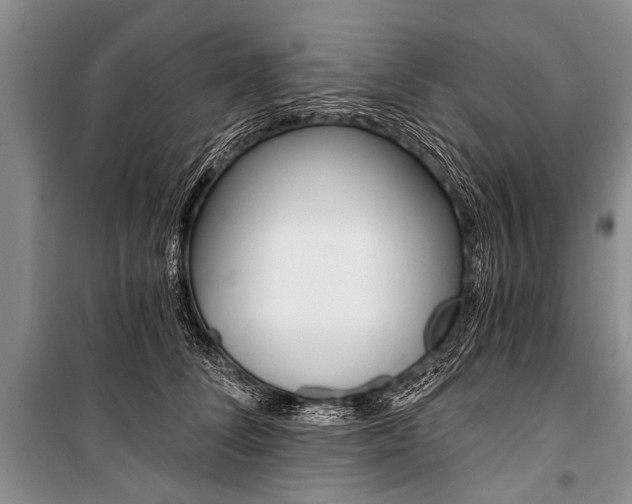 X0000101110708200806261109