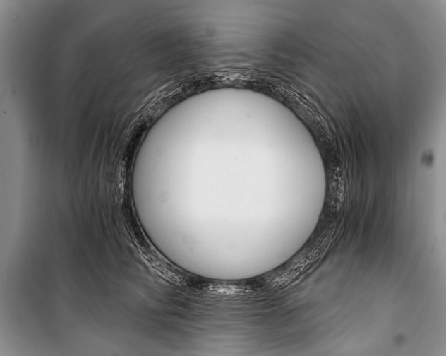 X0000101110710200806261109