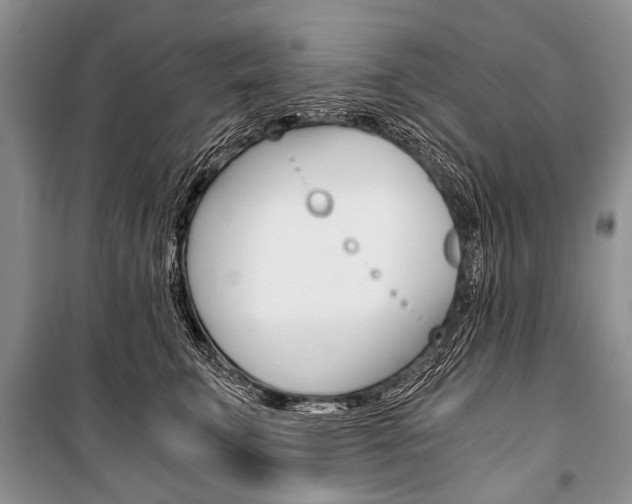 X0000101110711200806261109