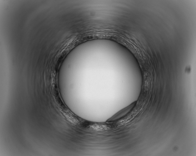 X0000101110712200806261109