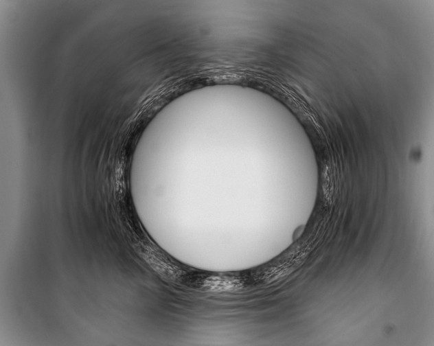 X0000101110714200806261109