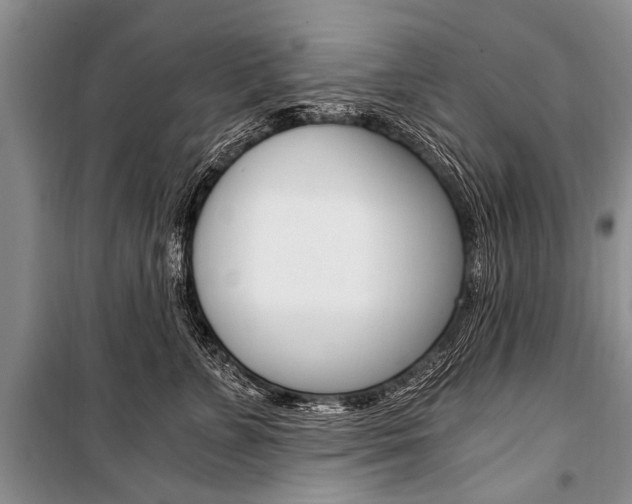 X0000101110715200806261109