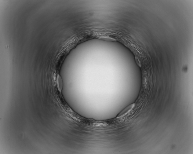 X0000101110716200806261109