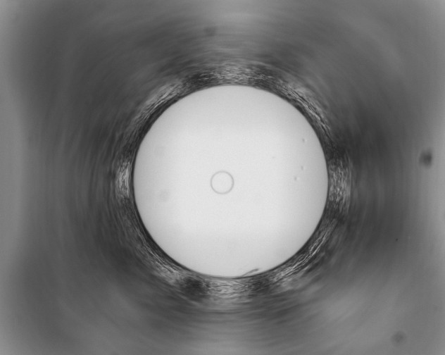 X0000101110717200806261109