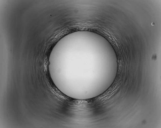 X0000101110719200806261109
