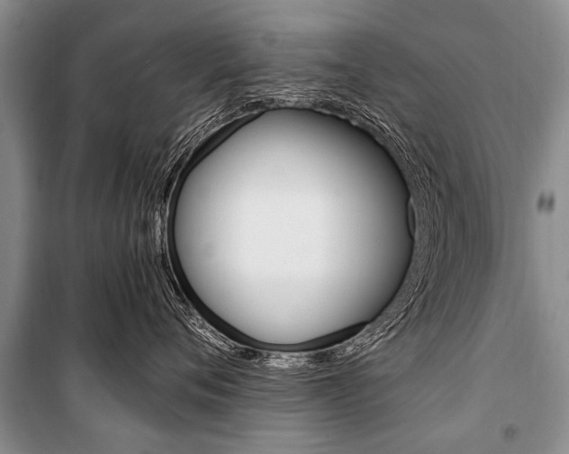 X0000101110720200806261109