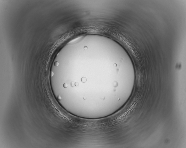 X0000101110721200806261108