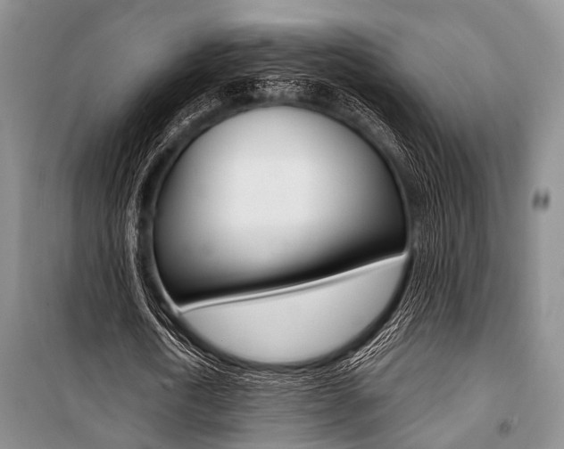 X0000101110722200806261108
