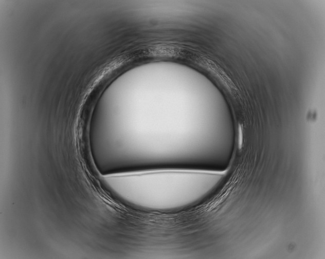 X0000101110723200806261108