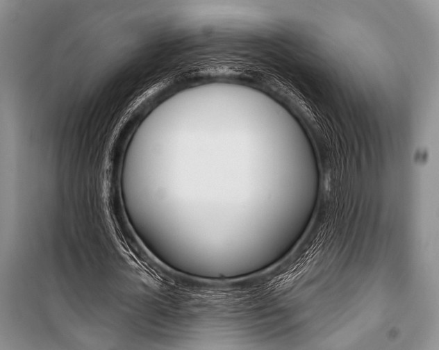 X0000101110724200806261108