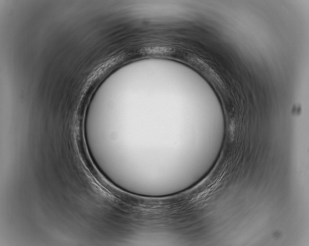 X0000101110725200806261108