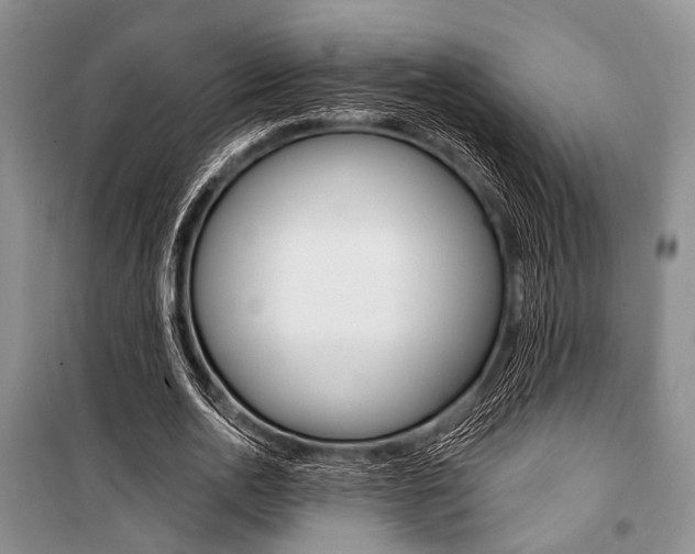 X0000101110726200806261108