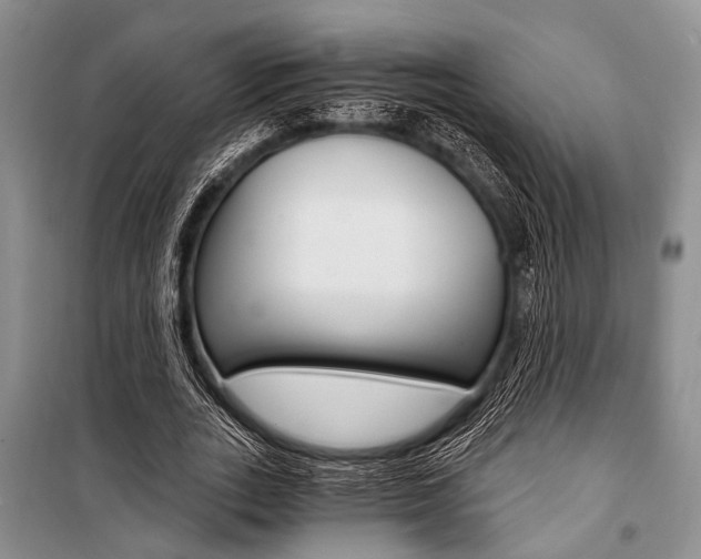 X0000101110727200806261108