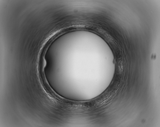 X0000101110728200806261108