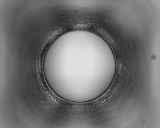 X0000101110729200806261108